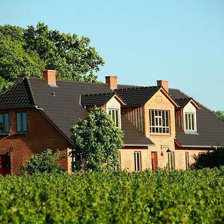 Forsthof Niendorf Appartement Teterow Buitenkant foto